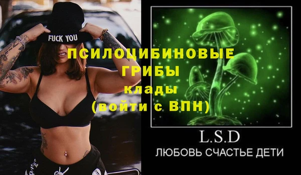 a pvp Богданович