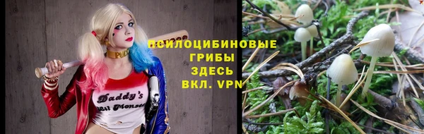 ГАЛЛЮЦИНОГЕННЫЕ ГРИБЫ Богородицк