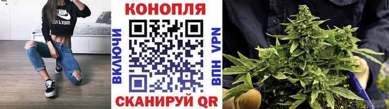 МАРИХУАНА ГИДРОПОН  дарнет шоп  гидра рабочий сайт  Короча 